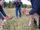 Фотография Сухоручко Ильи