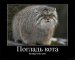  фотография #31