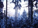 Валерій Матеящук фотография #36 (источник - https://vk.com/id28548420)