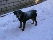 Андрій Диба фотография #12 (источник - https://vk.com/id31925948)