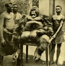 Віта Миевская фотография #47 (источник - https://vk.com/id17656762)