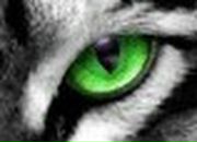 Сергій Шевченко фотография #34 (источник - https://vk.com/id77974551)