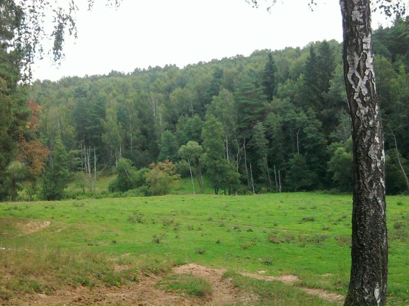 Дмитрий Кузнецов фотография #33