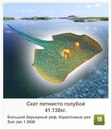 Иван Бабинец фотография #21 (источник - https://vk.com/id120069385)