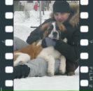 Фотография Лашко Александра