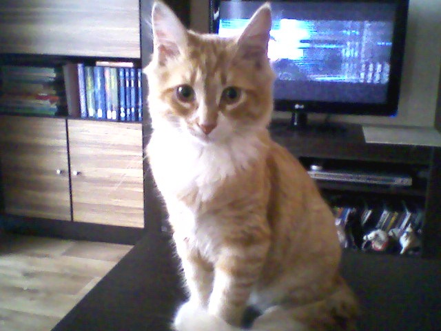 Вика Гагарина фотография #11