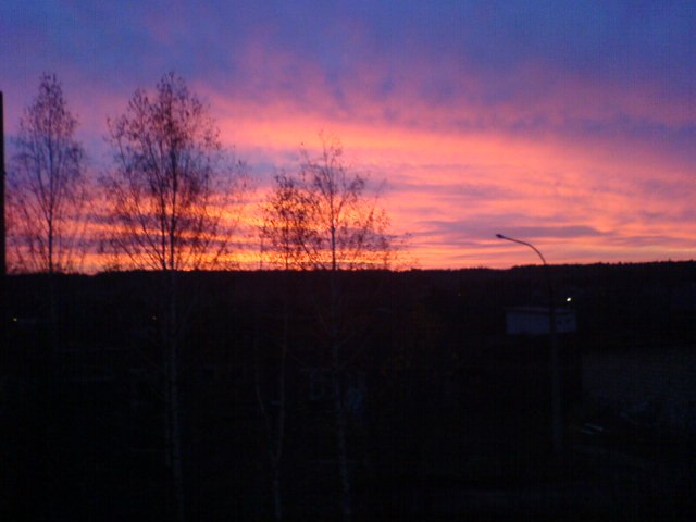 Дима Уткин фотография #5