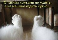 Евгения Абалдуева фотография #39 (источник - https://vk.com/id1000796)