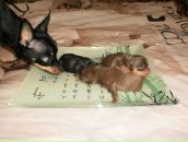 Фотография Каразановой Юлии