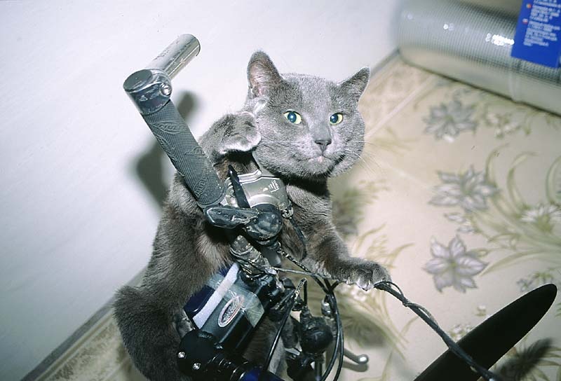 Игорь Иванов фотография #23