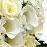 Ярина Пріцак фотография #7 (источник - https://vk.com/id65479561)