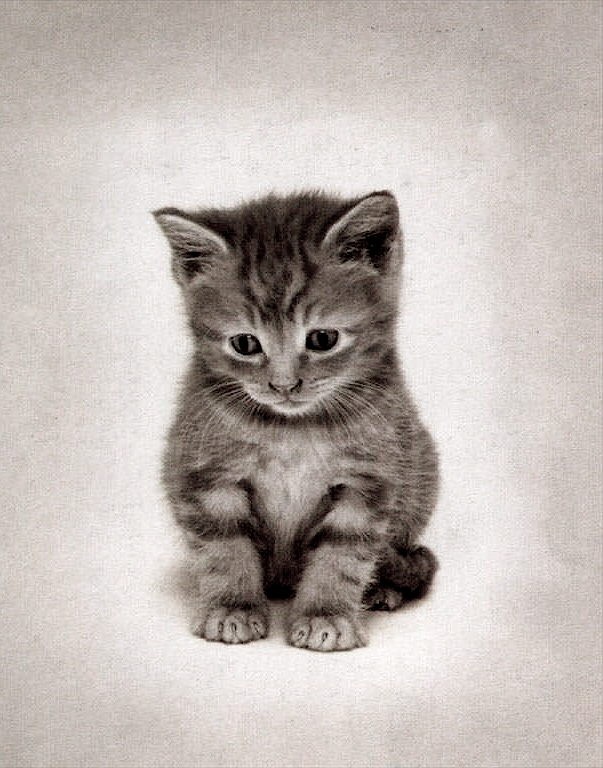 Dina Plotnikova фотография #10