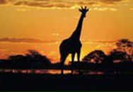 Фотография Крестовой Ольги