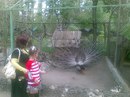 Настя Бадрізлова фотография #2 (источник - https://vk.com/id162689847)