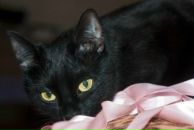 Фотография Кузнецовой Натальи