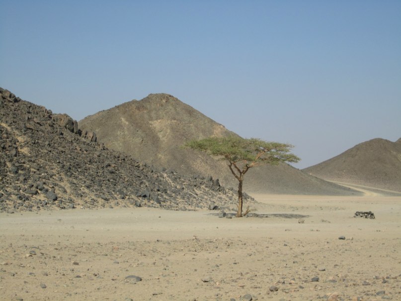 Константин Беляев фотография #37