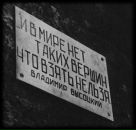 Фотография Kushnarev Oleg