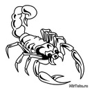 Вова Грушников фотография #1