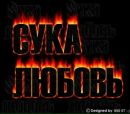 Гриша Томов фотография #21 (источник - https://vk.com/id123896973)