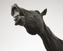 Ніка Мадій фотография #4 (источник - https://vk.com/id72717871)