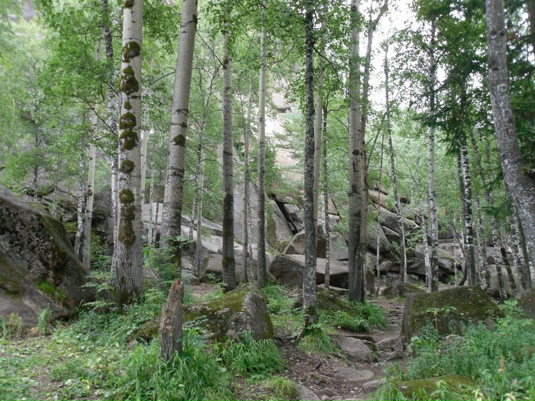 Бьёрн Регер фотография #43