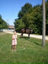 Андрій Сушко фотография #30 (источник - https://vk.com/id104973052)