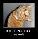 Сергей Письменный фотография #48 (источник - https://vk.com/id3906355)