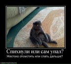 Ігор Зубенко фотография #30 (источник - https://vk.com/id1185620)