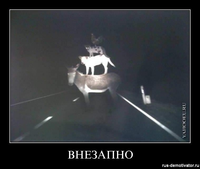 Андрей Олейников фотография #4