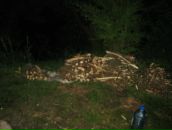 Віктор Баранов фотография #33 (источник - https://vk.com/id65507362)