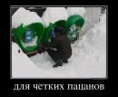 Бодя Тимошів фотография #33 (источник - https://vk.com/id35995248)
