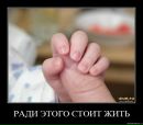 Руслан Канівець фотография #30 (источник - https://vk.com/id36957555)