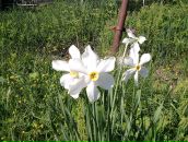 Фотография Москвиной-Шульги Людмилы