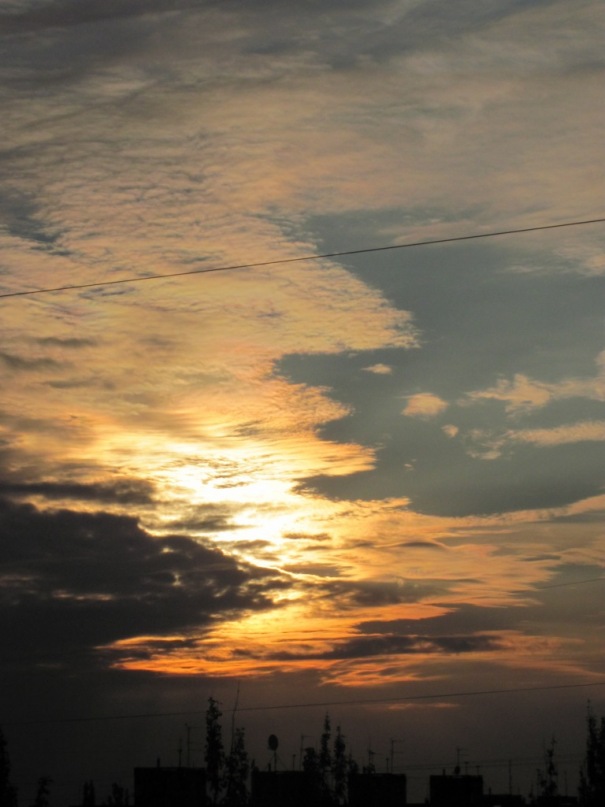 Дмитрий Николов фотография #41