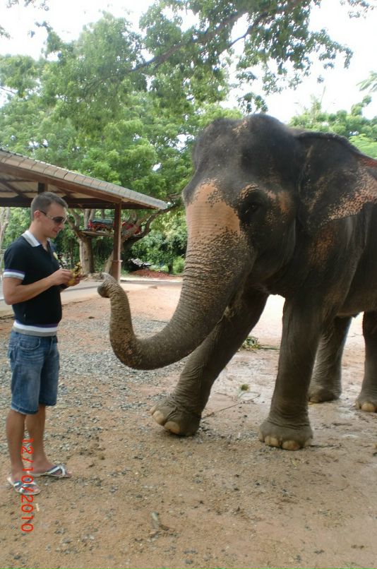 Дмитрий Буцелан фотография #8