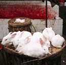 Egor Strelnikov фотография #18 (источник - https://vk.com/id2521377)