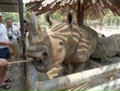 Кирилл :) фотография #35 (источник - https://vk.com/id11921229)