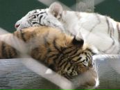 Фотография Артюхина Виталия