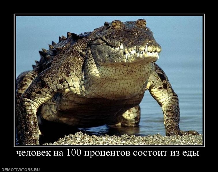 Ivan Ivanov фотография #50