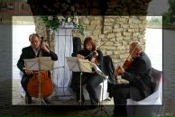 Студія Мить фотография #39 (источник - https://vk.com/id86041201)