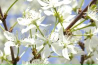 Фотография Данилиной Ирины