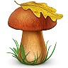 Антон Гавриленко фотография #31 (источник - https://vk.com/id65060931)