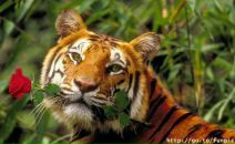 Іванна Бабінчук фотография #25 (источник - https://vk.com/id137116238)