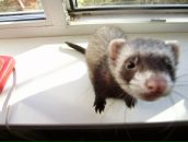 Фотография Loserdo Loserdo