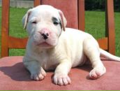 Фотография Гайдаш Ксении