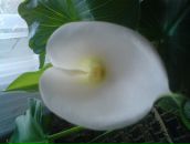 Ірина Бойко фотография #10 (источник - https://vk.com/id17100598)