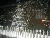 Андрій Тимків фотография #40 (источник - https://vk.com/id76643248)