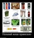 Фотография Ханиной Альфии