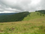 Юрій Осіпчук фотография #49 (источник - https://vk.com/id1744459)