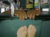 Фотография Voevodina Anna